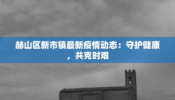 赫山区新市镇最新疫情动态:守护健康,共克时艰 赫山区新市镇最新疫情动态:守护健康,共克时艰