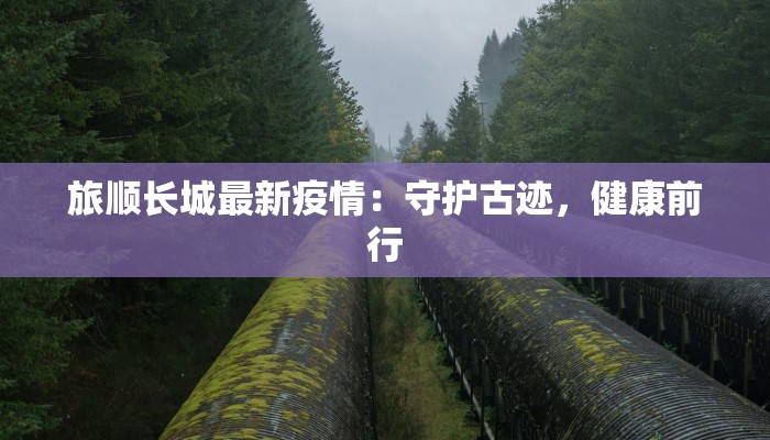 旅顺长城最新疫情:守护古迹,健康前行 旅顺长城最新疫情:守护古迹,健康前行