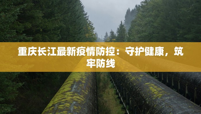 泊头最新防疫情况最新