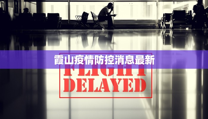 霞山疫情防控消息最新 霞山疫情防控消息最新