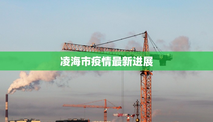 坪口镇最新疫情情况 坪口镇最新疫情情况