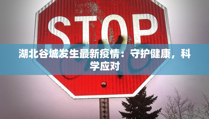 湖北谷城发生最新疫情：守护健康，科学应对
