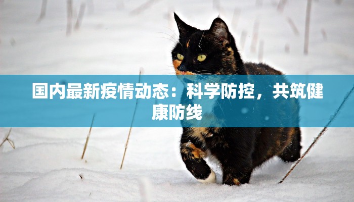 南昌疫情最新莲塘:守护家园,科学防控,共克时艰 南昌疫情最新莲塘:守护家园,科学防控,共克时艰