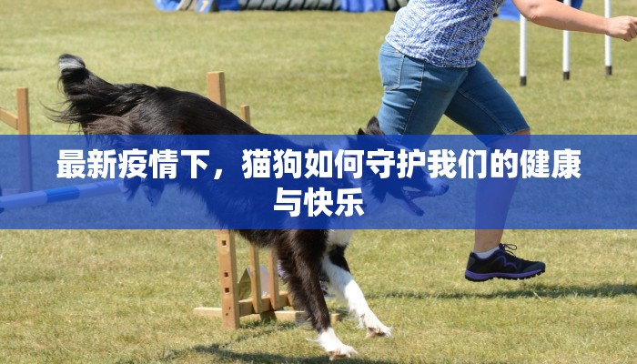 最新疫情下,猫狗如何守护我们的健康与快乐 最新疫情下,猫狗如何守护我们的健康与快乐