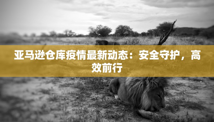 亚马逊仓库疫情最新动态：安全守护，高效前行