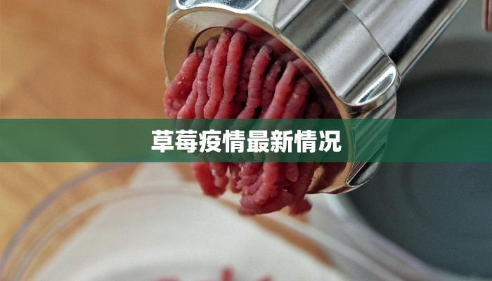 宣恩疫情最新报道 宣恩疫情最新报道