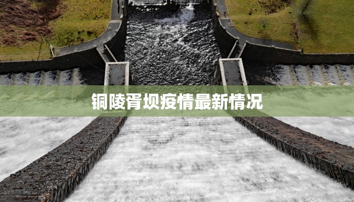 铜陵胥坝疫情最新情况 铜陵胥坝疫情最新情况