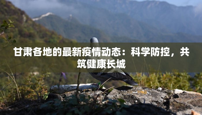 甘肃各地的最新疫情动态：科学防控，共筑健康长城