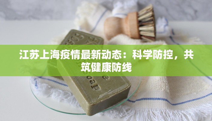 江苏上海疫情最新动态：科学防控，共筑健康防线