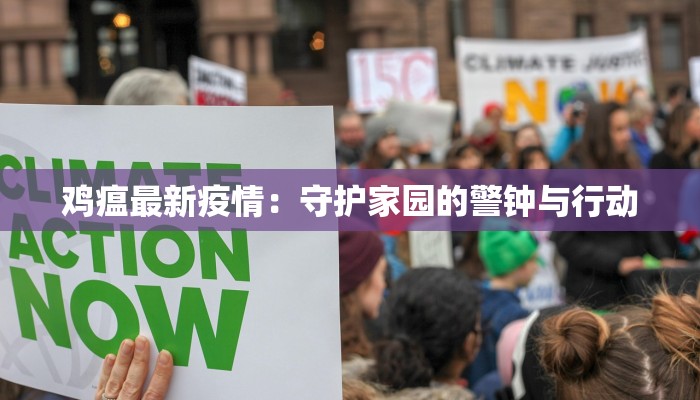 鸡瘟最新疫情：守护家园的警钟与行动