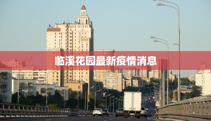 东莞横沥新村：疫情下的社区守护与新生力量