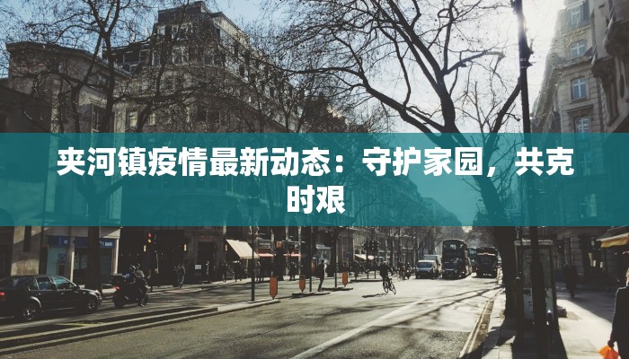 夹河镇疫情最新动态：守护家园，共克时艰