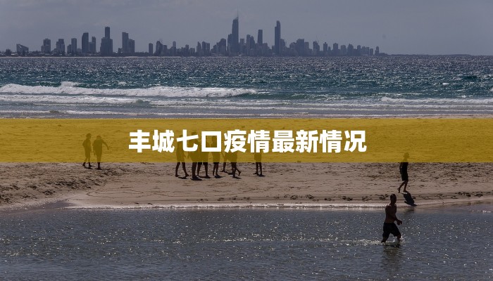 丰城七口疫情最新情况