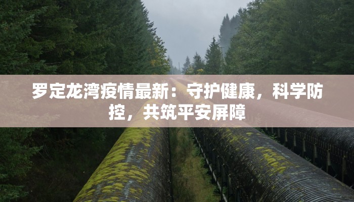 罗定龙湾疫情最新：守护健康，科学防控，共筑平安屏障