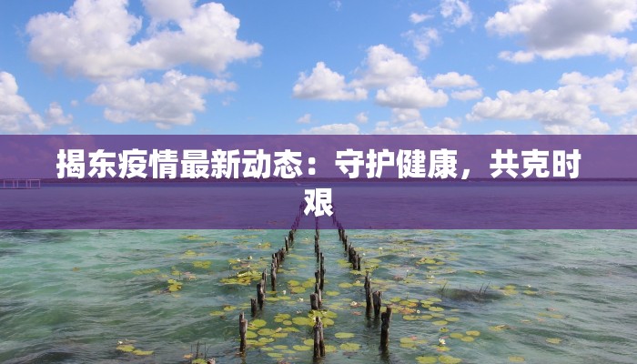 揭东疫情最新动态：守护健康，共克时艰