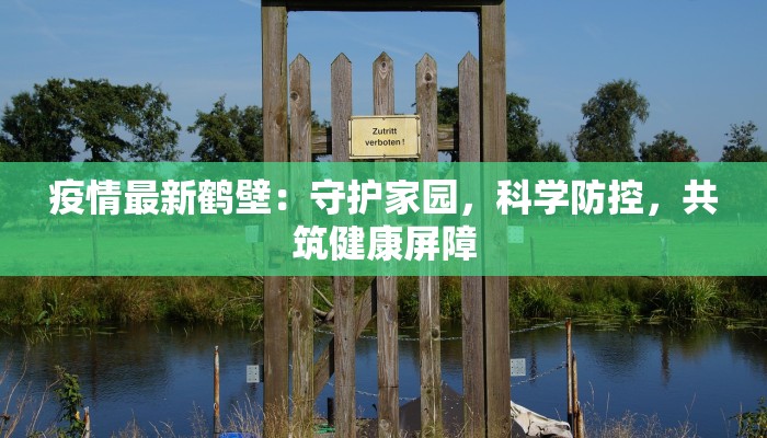 疫情最新鹤壁：守护家园，科学防控，共筑健康屏障